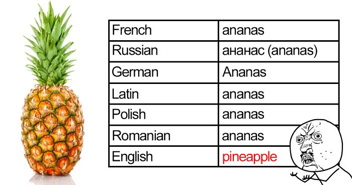 Hésitant de vous exprimer en anglais? Abonnez-vous pour apprendre des expressions de base et améliorer votre anglais avec les professeurs.