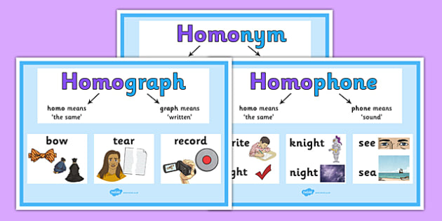 Homonymes Homophones Et Homographes Blog Albert Learning